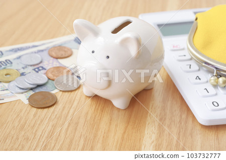 Pig's piggy bank and image of money Pig's piggy bank and image of money 103732777