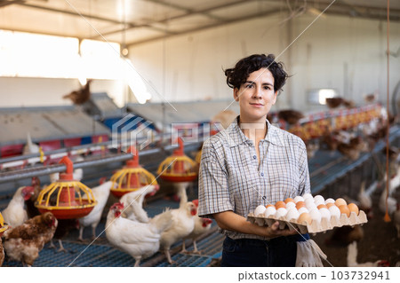 Successful hispanic female owner of poultry farm holding tray of eggs in henhouse Successful hispanic female owner of poultry farm holding tray of eggs in henhouse 103732941