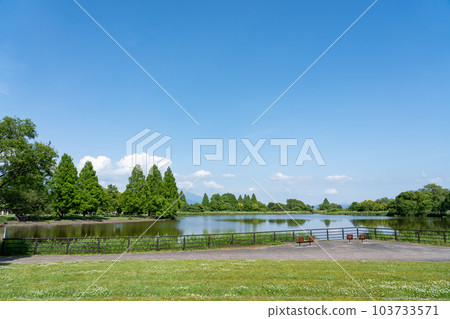 滋賀縣琵琶湖畔的奧琵琶運動森林靜香湖 滋賀縣琵琶湖畔的奧琵琶運動森林靜香湖 103733571