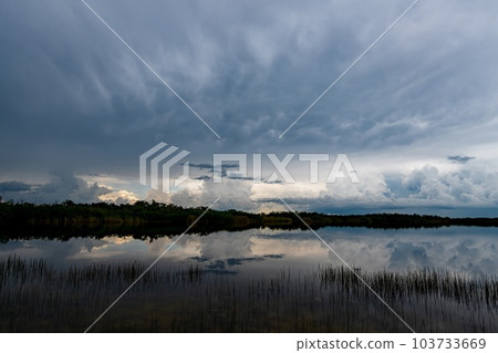 Dark storm clouds over Nine Mile Pond in Everglades National Park, Florida. 103733669