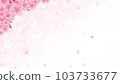Background material with falling cherry blossoms 103733677