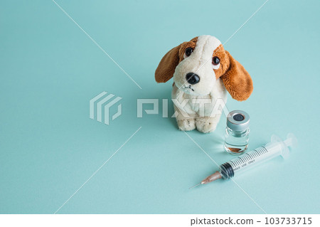 狗疫苗接種動物醫院圖像素材 103733715