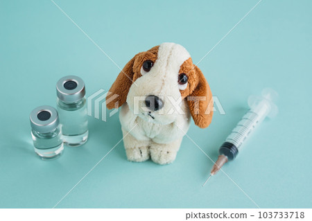 Dog vaccination Animal hospital image material 103733718
