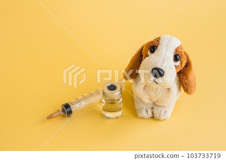 Dog vaccination Animal hospital image material Dog vaccination Animal hospital image material 103733719