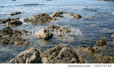 清澈的海水和岩石海岸 103733738