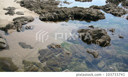 清澈的海水和岩石海岸 清澈的海水和岩石海岸 103733741