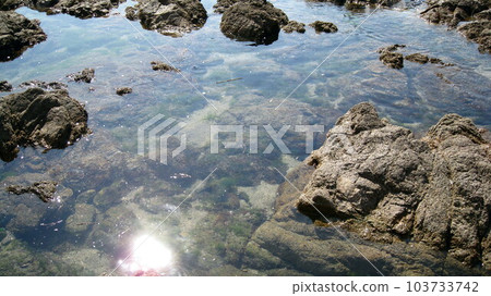 清澈的海水和岩石海岸 103733742