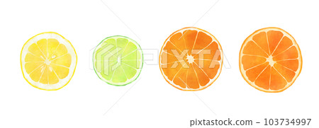fresh fruit sliced 103734997