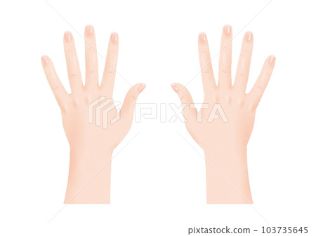 Human body parts real finger nail skin both hands back of hand transparent png background transparent 103735645