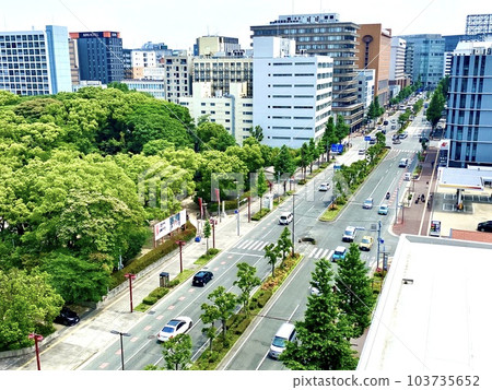 Sumiyoshi Street and Sumiyoshi Shrine extending from Hakata Station 103735652