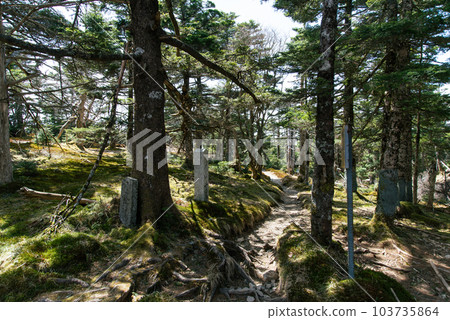 Hiking trail to Mt. Hakkyogatake 103735864