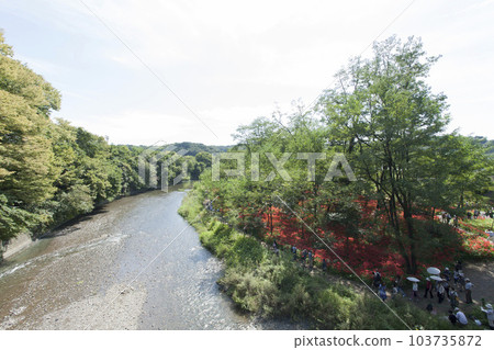 Kinchakuda / Manjushage no Sato 103735872