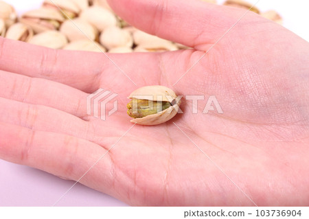 Female hand holding pistachio nuts Female hand holding pistachio nuts 103736904