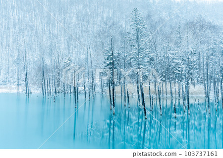 【北海道絕景】白雪覆蓋的青池 【北海道絕景】白雪覆蓋的青池 103737161