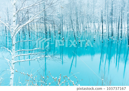 【北海道絕景】白雪覆蓋的青池 【北海道絕景】白雪覆蓋的青池 103737167