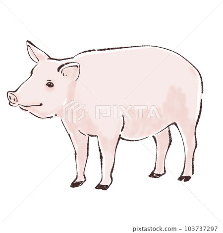 Illustration material of pig / pig / pig Illustration material of pig / pig / pig 103737297