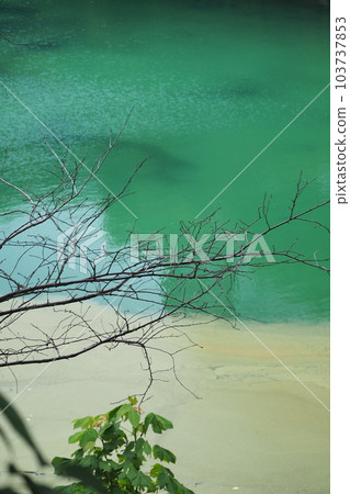 Water surface of Edo Castle Outer Moat Ruins 103737853