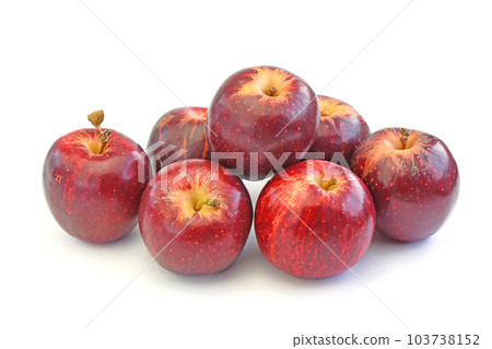 新西蘭蘋果PRINCE 103738152