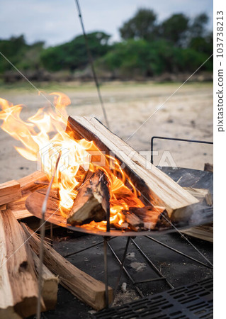 野營篝火火焰野營裝備木柴篝火台篝火戶外 103738213