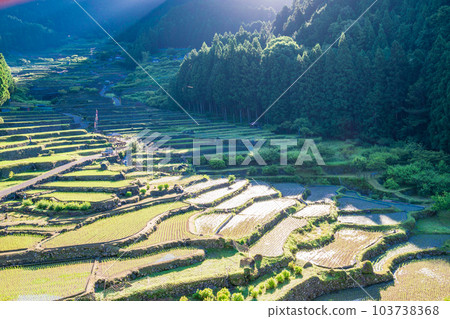 [愛知縣]四谷千枚田插秧後的清晨 103738368