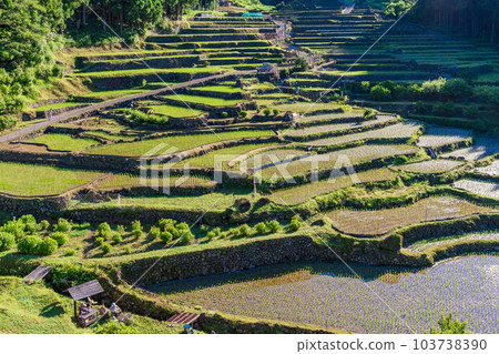 [愛知縣]四谷千枚田插秧後的清晨 103738390