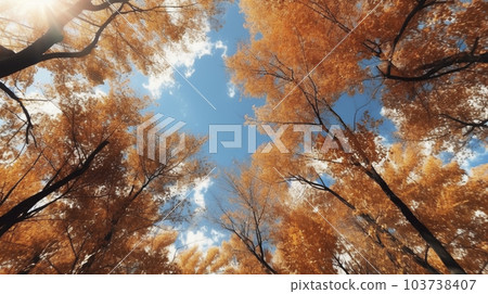 Wide-angle shooting of yellow colored leaves and blue sky looking up from below "AI-generated image" 103738407