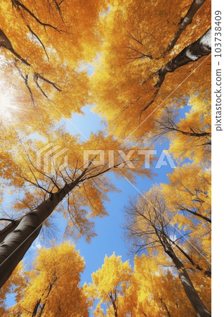 Wide-angle shooting of yellow colored leaves and blue sky looking up from below "AI-generated image" 103738409