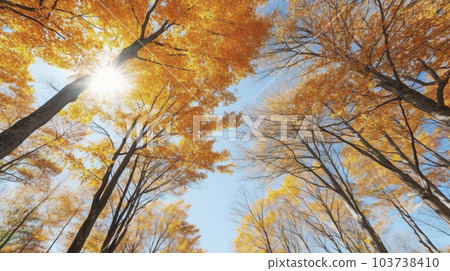 Wide-angle shooting of yellow colored leaves and blue sky looking up from below "AI-generated image" 103738410