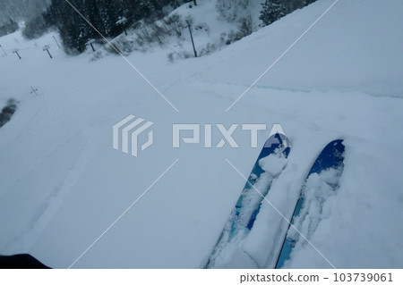 粉雪滑雪 粉雪滑雪 103739061
