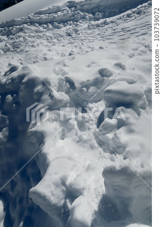 雪崩之後 雪崩之後 103739072