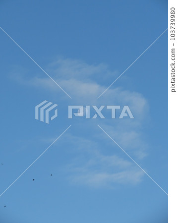 blue sky blue sky 103739980