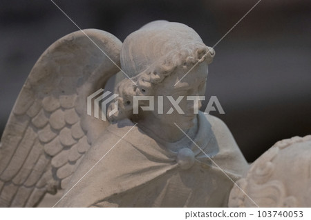 Close up detail of angel in a cathedral carved in marble showing tip of wing, head with curly hair and a cap. Close up detail of angel in a cathedral carved in marble showing tip of wing, head with curly hair and a cap. 103740053