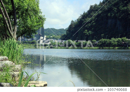 Spring park scenery with bamboo and roses and road in Namgang, Jinju city, South Korea 103740088