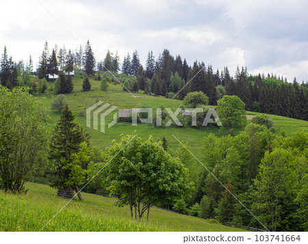 Carpathian landscape with cloudy sky Carpathian landscape with cloudy sky 103741664