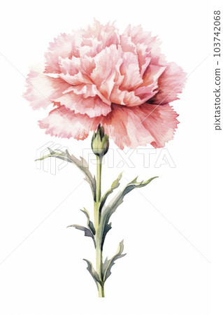Carnation illustration "AI generated image" 103742068