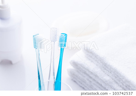 Toilet toothbrush and towel 103742537
