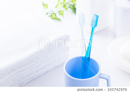 馬桶牙刷和毛巾 103742970