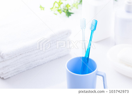 馬桶牙刷和毛巾 馬桶牙刷和毛巾 103742973