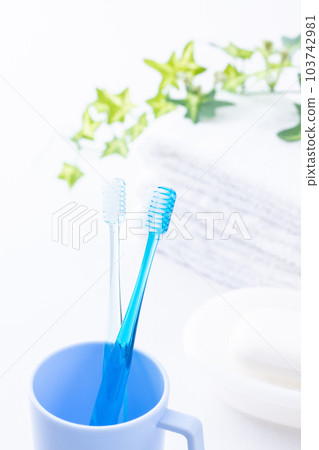 Toilet toothbrush and towel Toilet toothbrush and towel 103742981