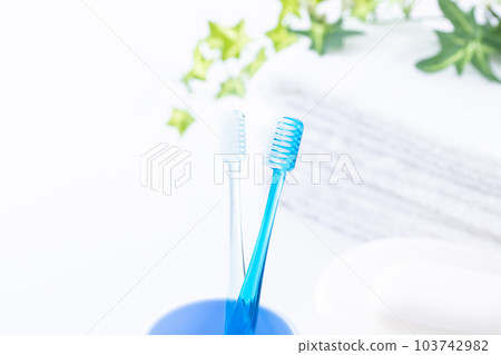 Toilet toothbrush and towel Toilet toothbrush and towel 103742982