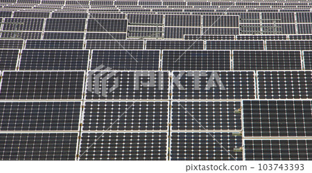 Rows of solar panels in a solar power plant 103743393