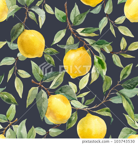 Beautiful seamless pattern with hand drawn watercolor yellow lemons on branches with leaves. Stock illustration. 103743530