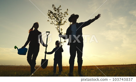 fresh sapling tree sunset, young roots, soil earth, plant garden, silhouette happiness family father mother child, farmer work, fresh plants young trees sprout soil spring, happy family with shovel fresh sapling tree sunset, young roots, soil earth, plant garden, silhouette happiness family father mother child, farmer work, fresh plants young trees sprout soil spring, happy family with shovel 103743837
