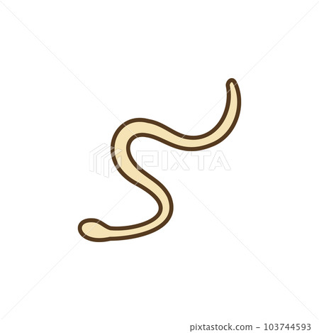 Roundworms Concept vector colored icon or sign 103744593