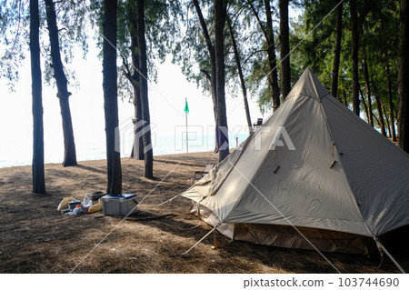 Camping tent in pine tree forest on isaland sea beach 103744690