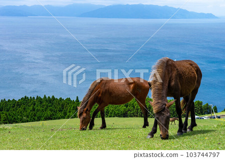 東京海角的Misaki Ma 103744797