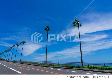 南部海岸的駕駛課程 南部海岸的駕駛課程 103744801