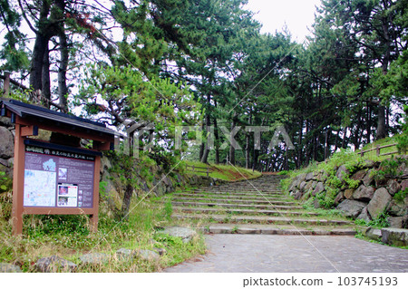 北九州市黑崎市“曲松樹”[長崎高速公路]指南板 103745193