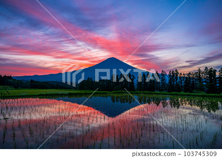 Upside-down Mt. Upside-down Mt. 103745309