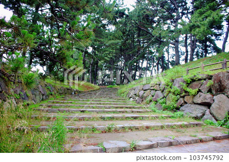 Kitakyushu City Kurosaki "Magari Pine Trees" Up Stairs [Nagasaki Highway] 103745792
